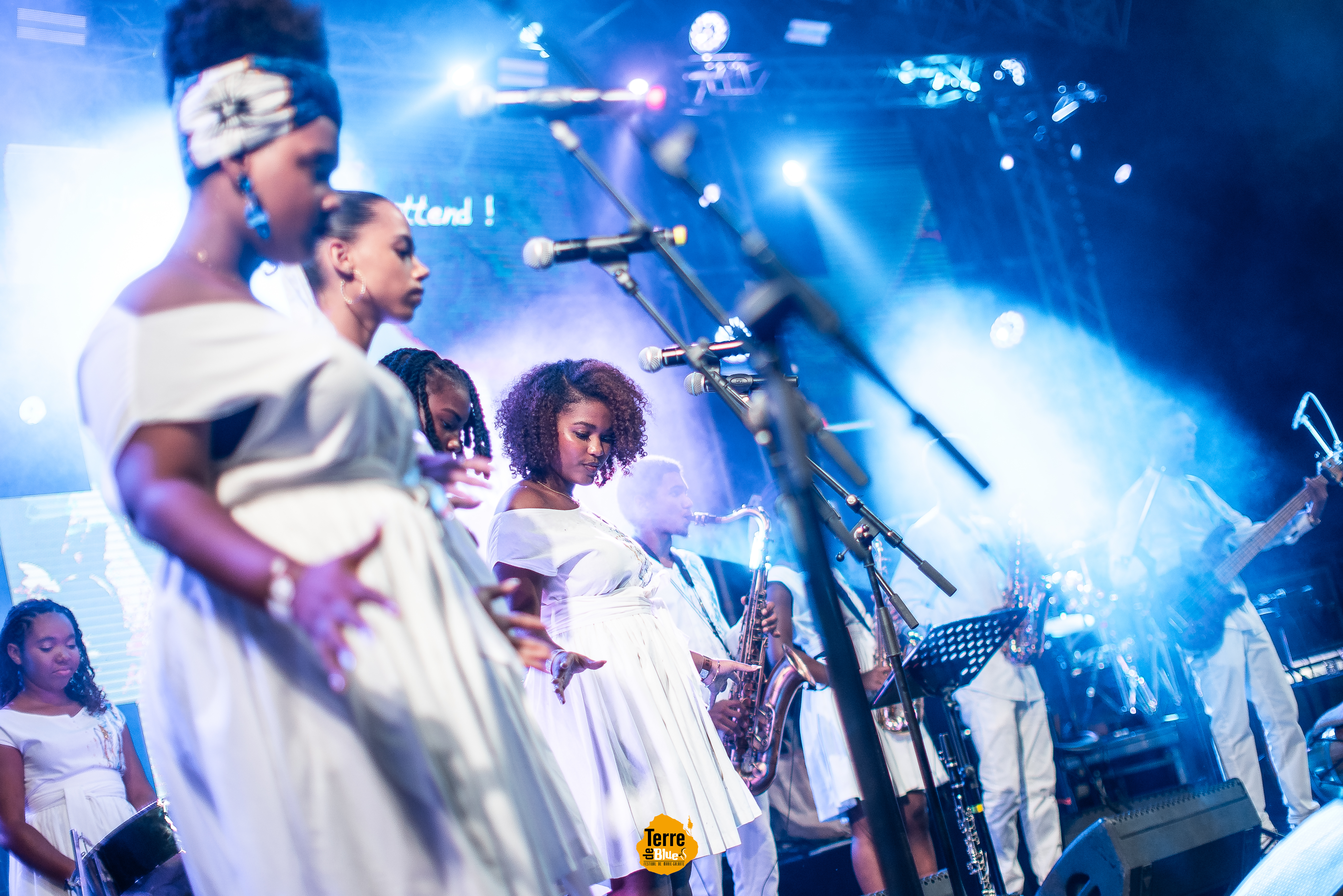 Photo prise au Festival Terre de Blues à Marie-Galante