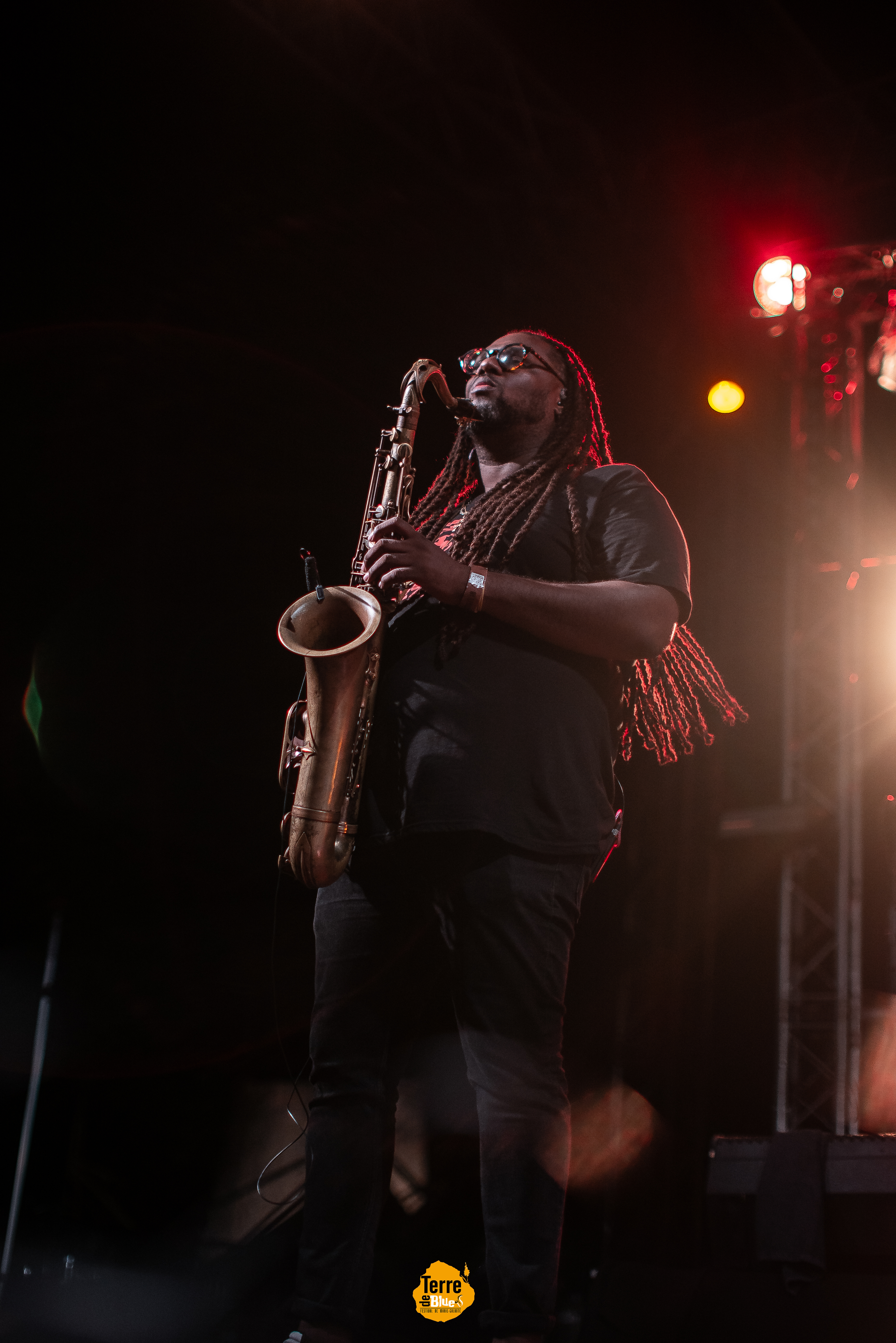 Photo prise au Festival Terre de Blues à Marie-Galante