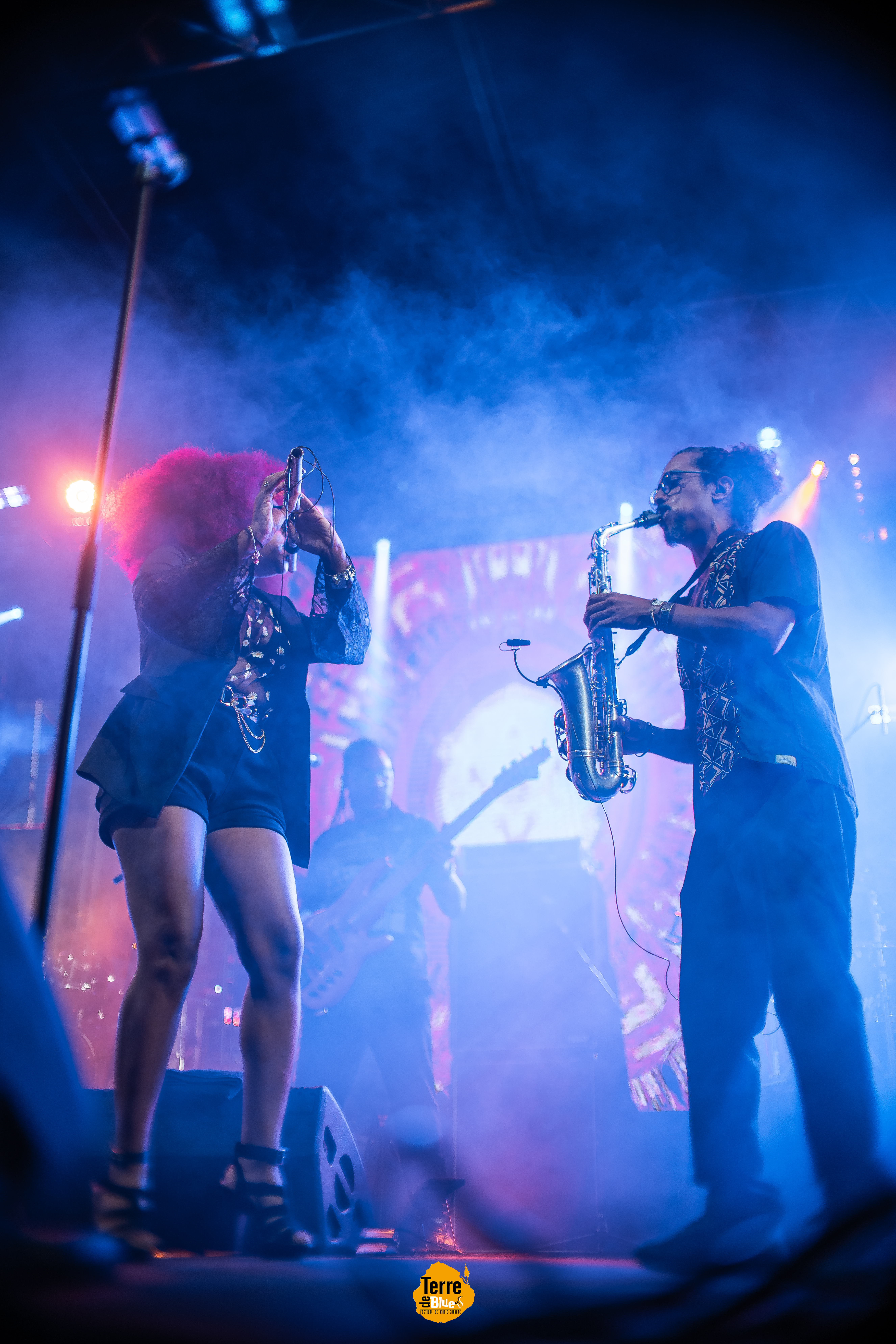 Photo prise au Festival Terre de Blues à Marie-Galante