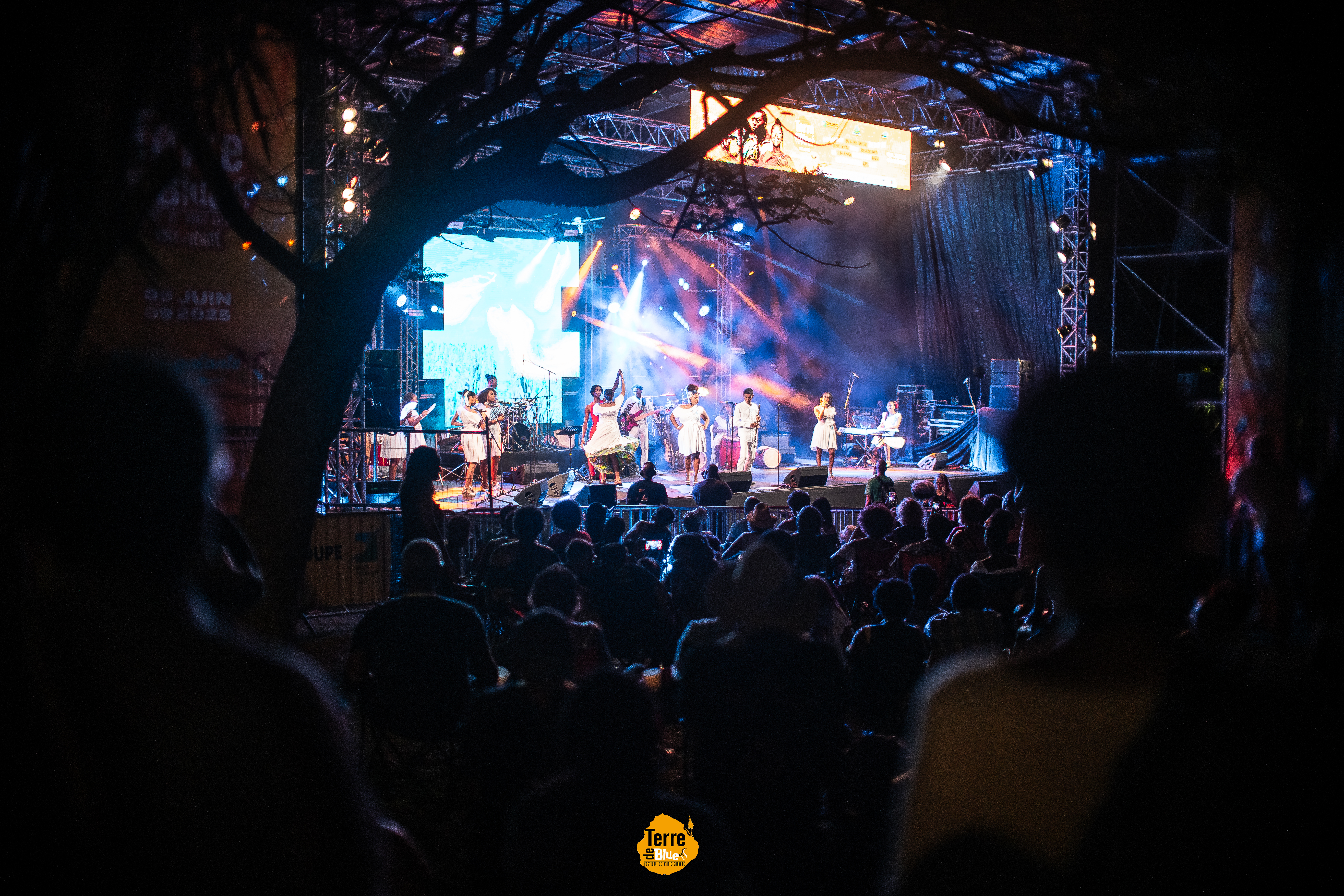 Photo prise au Festival Terre de Blues à Marie-Galante