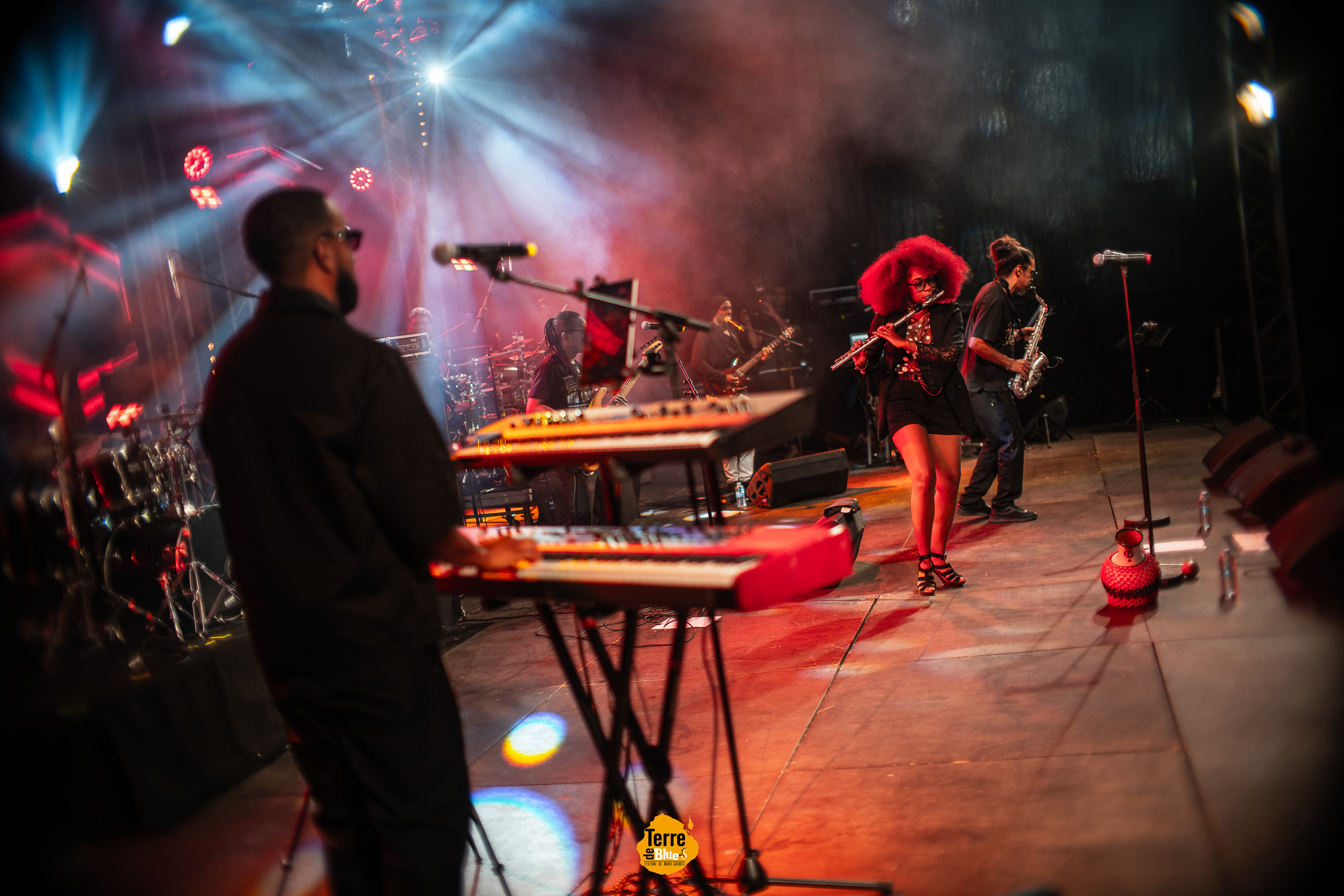 Photo prise au Festival Terre de Blues à Marie-Galante