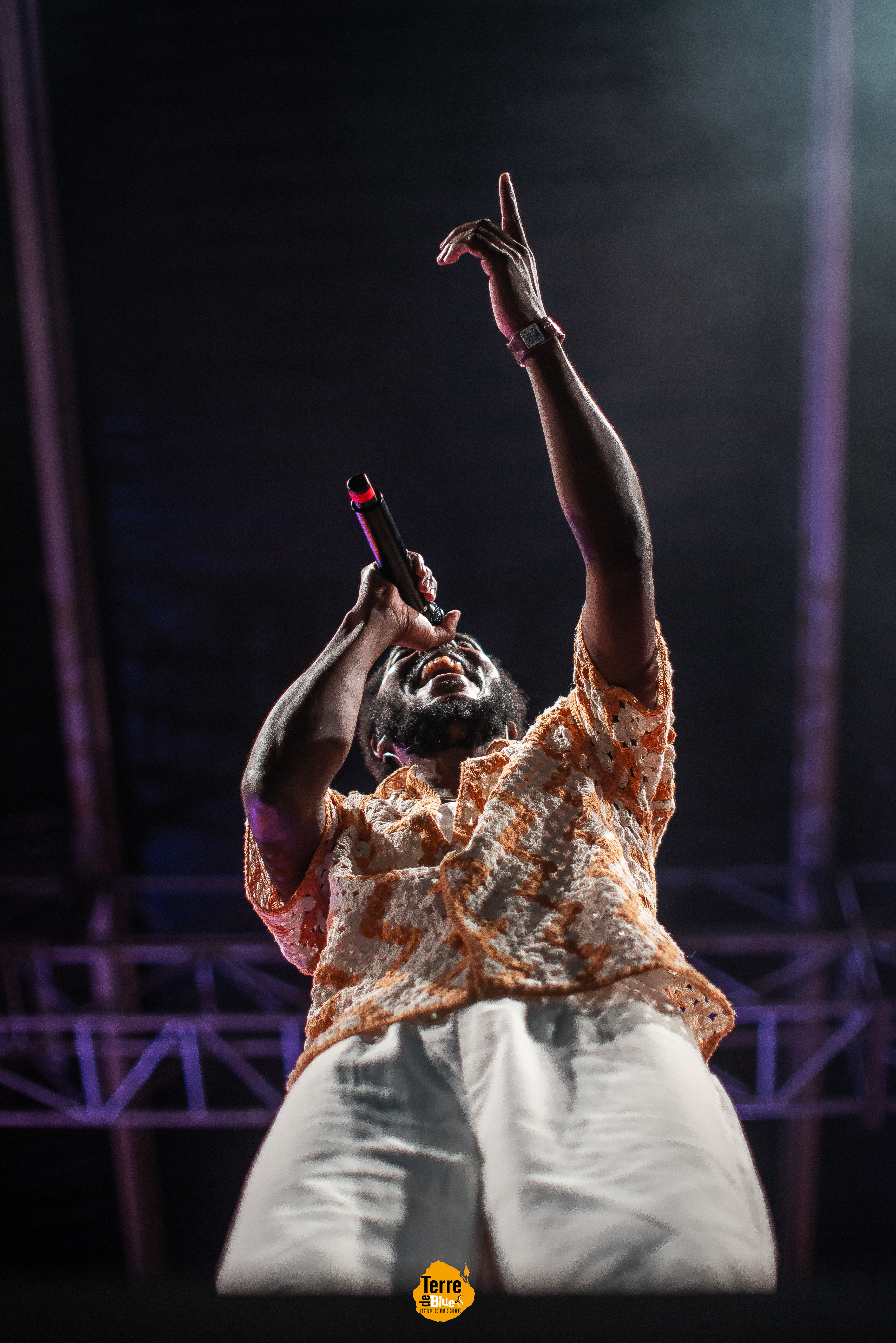 Photo prise au Festival Terre de Blues à Marie-Galante