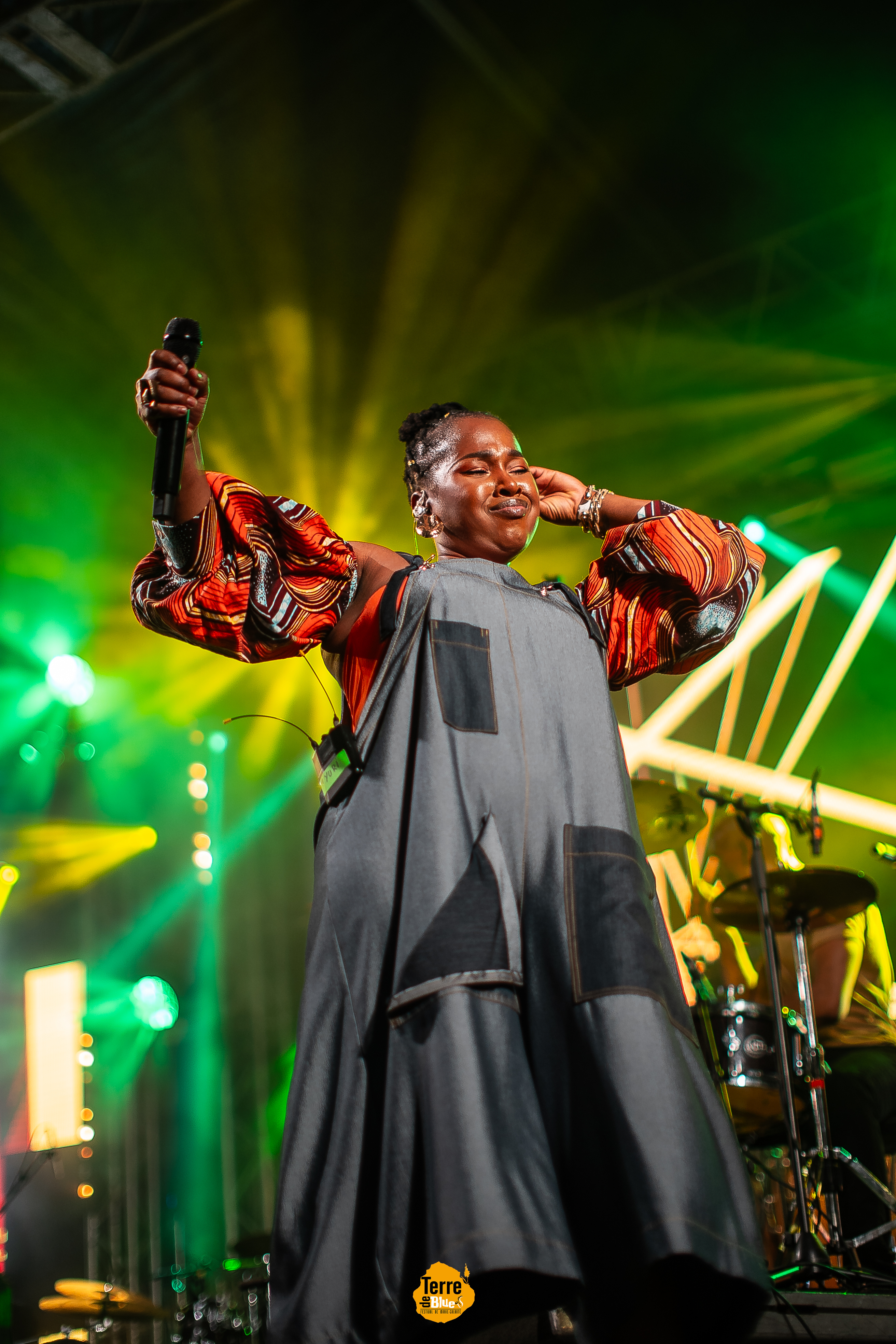 Photo prise au Festival Terre de Blues à Marie-Galante