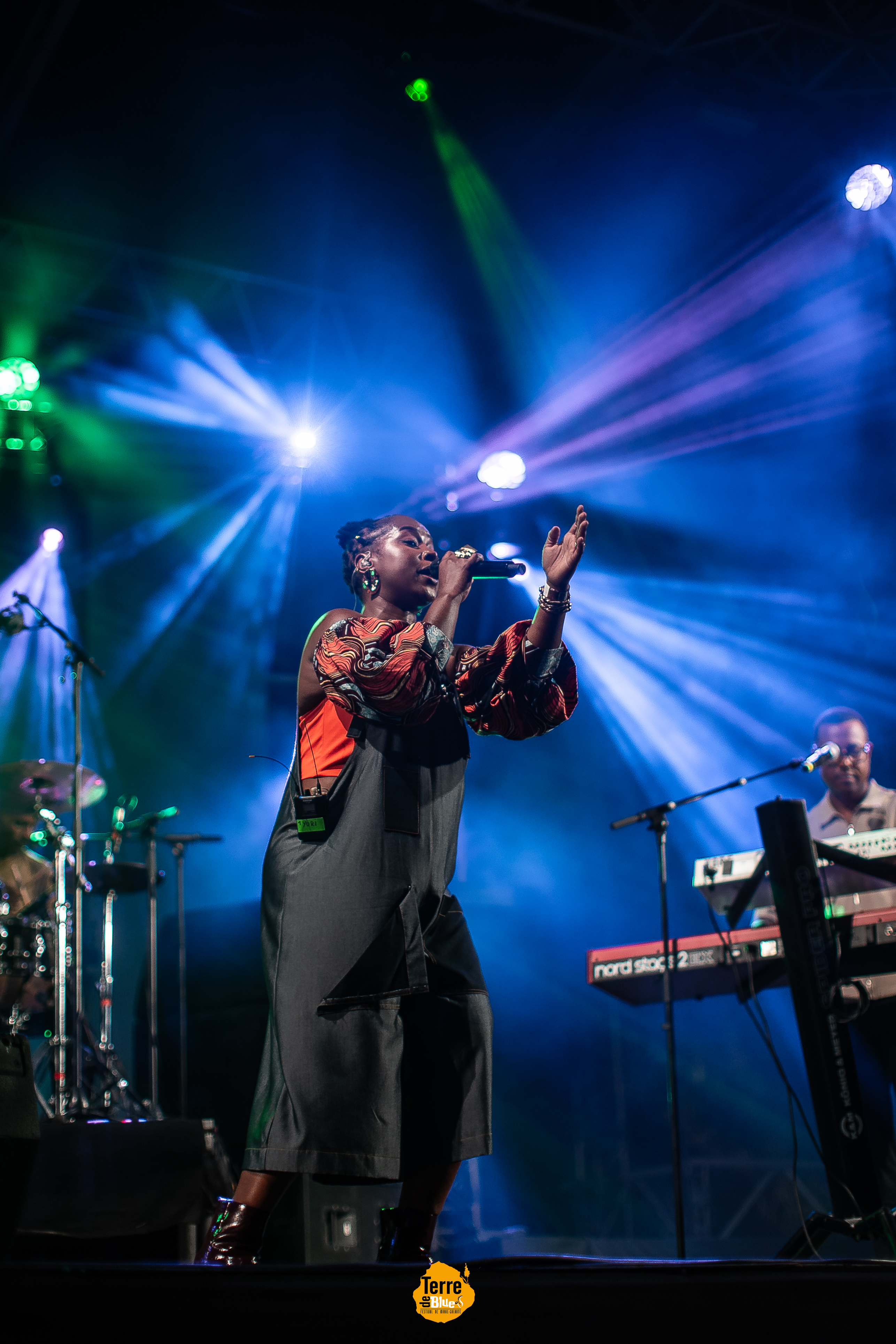 Photo prise au Festival Terre de Blues à Marie-Galante