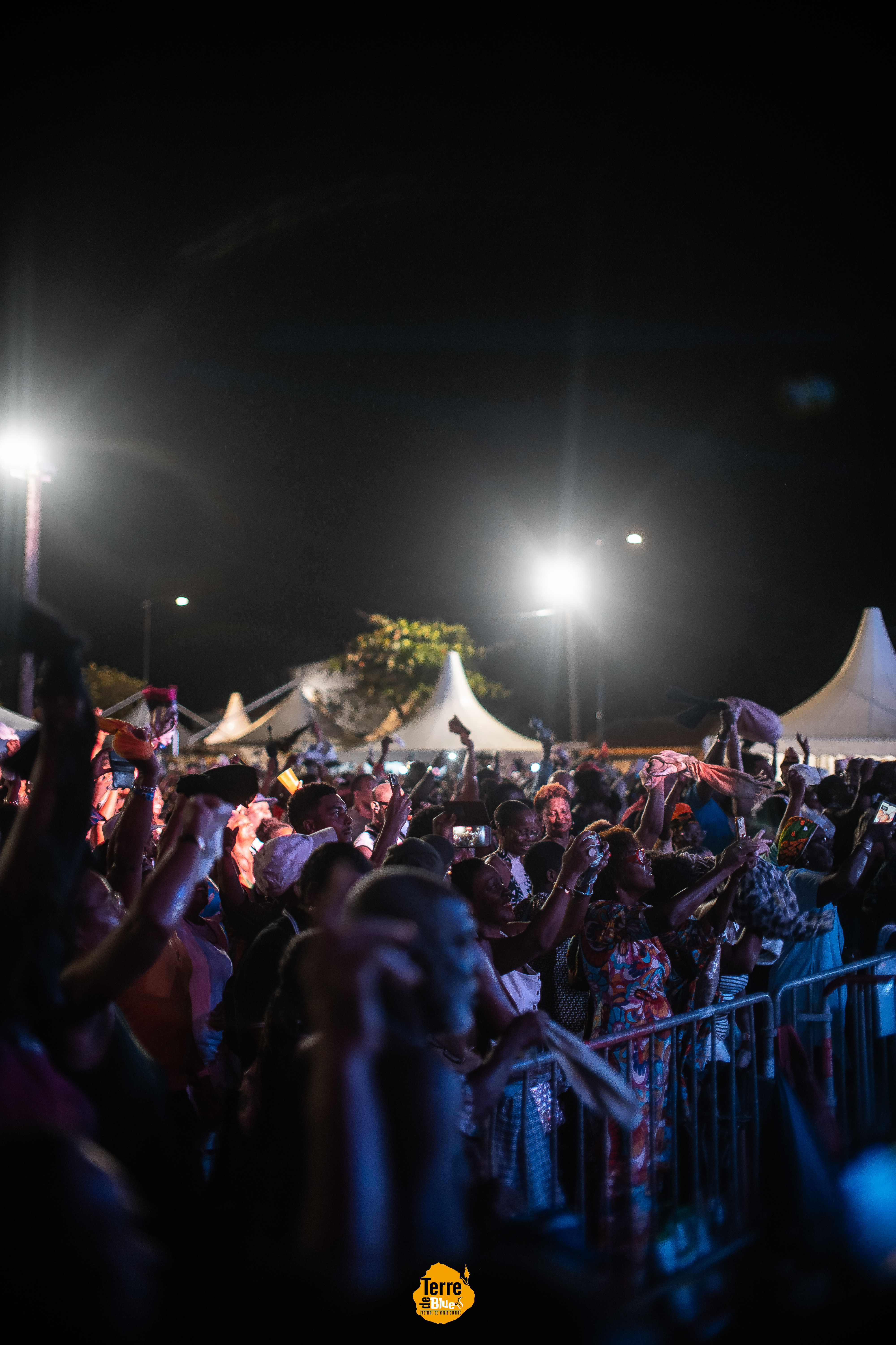 Photo prise au Festival Terre de Blues à Marie-Galante