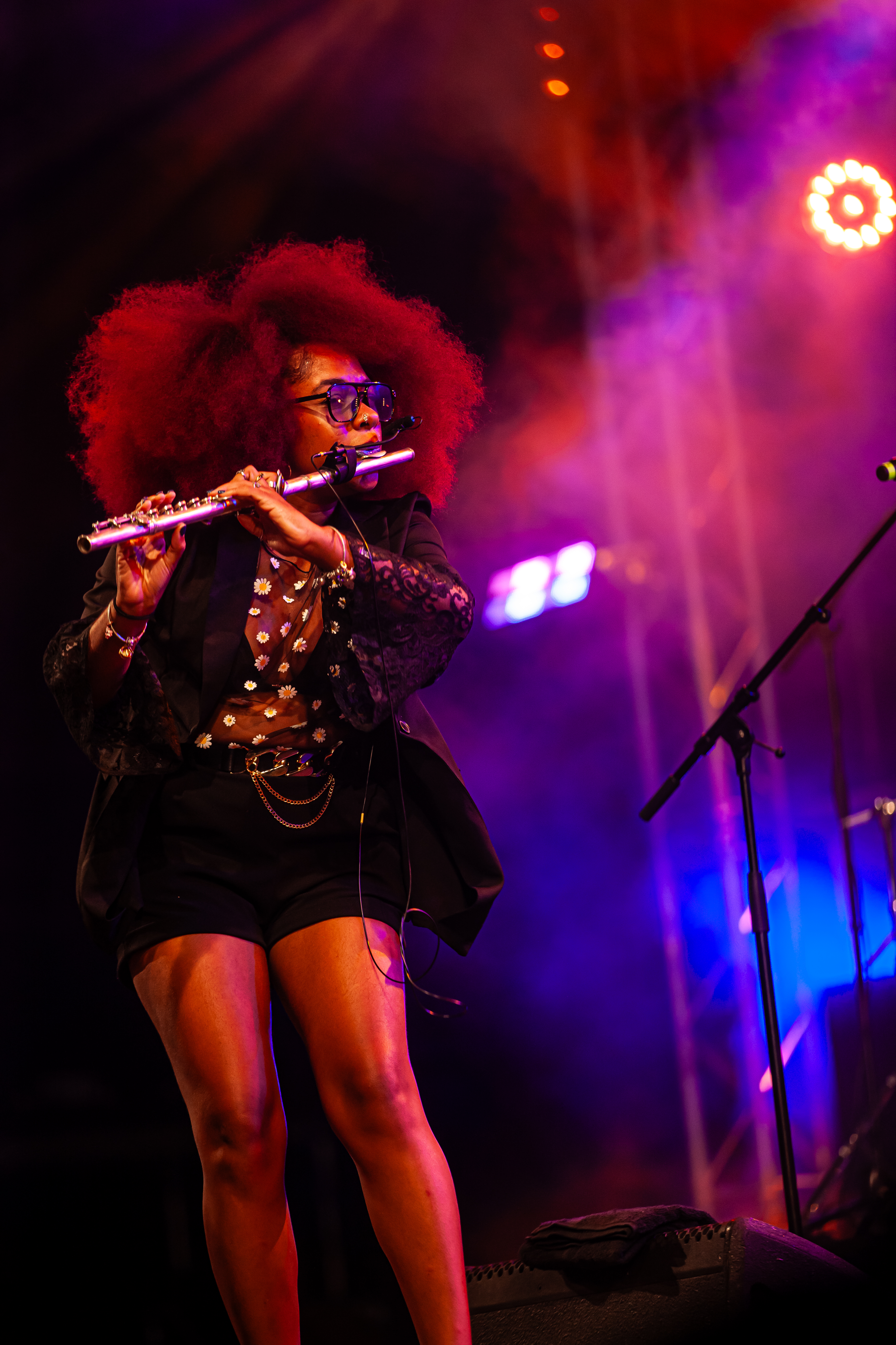 Photo prise au Festival Terre de Blues à Marie-Galante